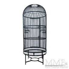 Black Bird Cage