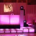 Large Lucite Dance Stage