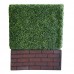 Low Box Hedge